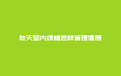 冬天室内绿植怎样管理温度