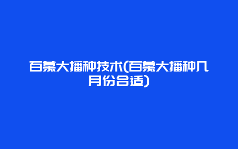 百慕大播种技术(百慕大播种几月份合适)