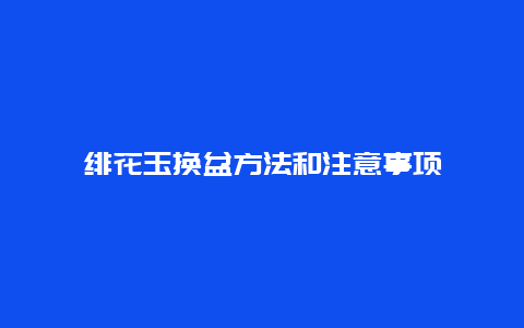 绯花玉换盆方法和注意事项