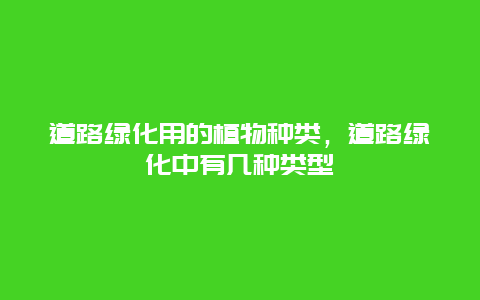 道路绿化用的植物种类，道路绿化中有几种类型