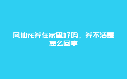 凤仙花养在家里好吗，养不活是怎么回事