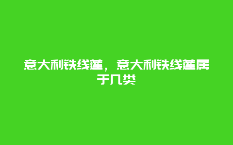 意大利铁线莲，意大利铁线莲属于几类