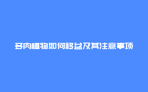 多肉植物如何移盆及其注意事项