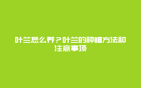 叶兰怎么养？叶兰的种植方法和注意事项