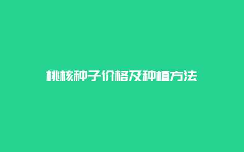 桃核种子价格及种植方法