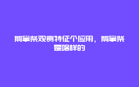 鹅掌柴观赏特征个应用，鹅掌柴是啥样的