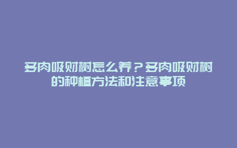 多肉吸财树怎么养？多肉吸财树的种植方法和注意事项