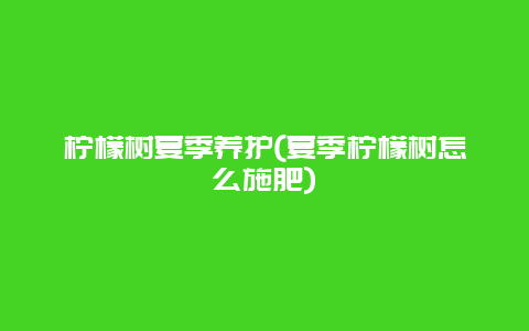 柠檬树夏季养护(夏季柠檬树怎么施肥)