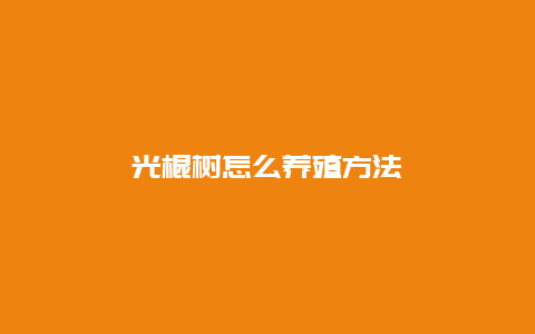 光棍树怎么养殖方法