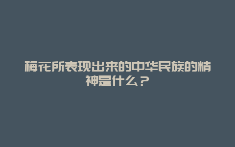 梅花所表现出来的中华民族的精神是什么？