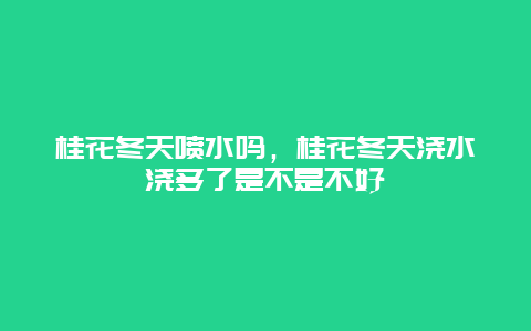 桂花冬天喷水吗，桂花冬天浇水浇多了是不是不好