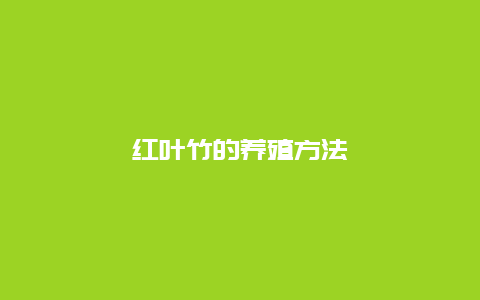 红叶竹的养殖方法