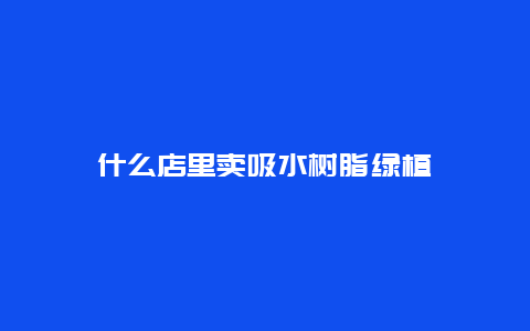 什么店里卖吸水树脂绿植