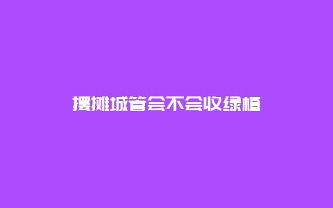 摆摊城管会不会收绿植