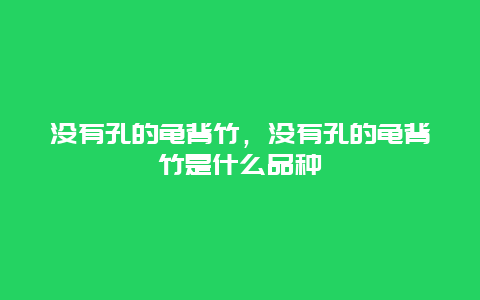 没有孔的龟背竹，没有孔的龟背竹是什么品种