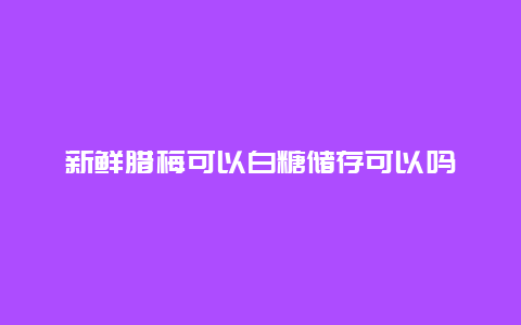 新鲜腊梅可以白糖储存可以吗