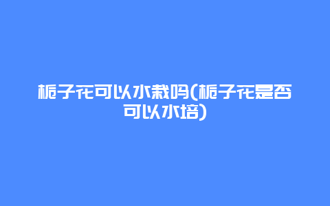 栀子花可以水栽吗(栀子花是否可以水培)