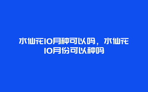 水仙花10月种可以吗，水仙花10月份可以种吗