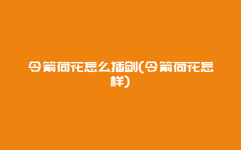 令箭荷花怎么插剑(令箭荷花怎样)