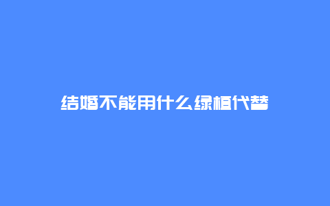 结婚不能用什么绿植代替