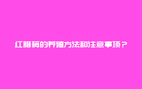 红腊梅的养殖方法和注意事项？