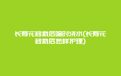 长寿花移栽后啥时浇水(长寿花移栽后怎样护理)