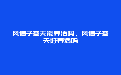 风信子冬天能养活吗，风信子冬天好养活吗