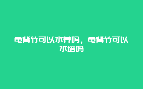 龟背竹可以水养吗，龟背竹可以水培吗