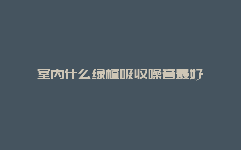 室内什么绿植吸收噪音最好