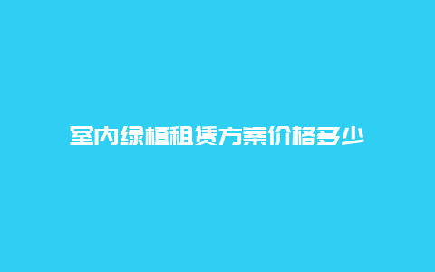 室内绿植租赁方案价格多少