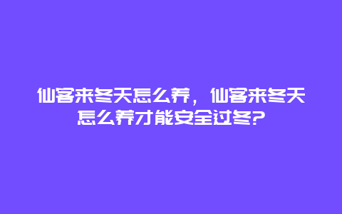 仙客来冬天怎么养，仙客来冬天怎么养才能安全过冬?