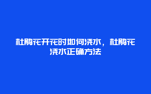 杜鹃花开花时如何浇水，杜鹃花浇水正确方法