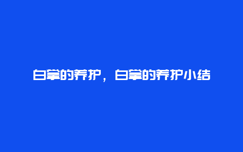 白掌的养护，白掌的养护小结