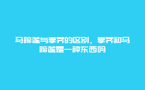 马蹄莲与荸荠的区别，荸荠和马蹄莲是一种东西吗