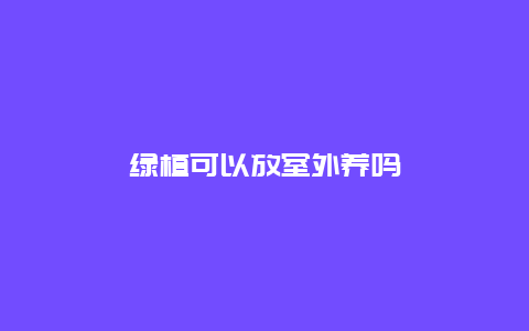 绿植可以放室外养吗