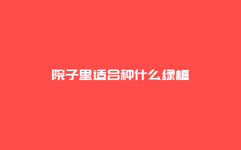 院子里适合种什么绿植