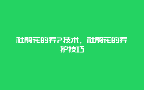 杜鹃花的养?技术，杜鹃花的养护技巧