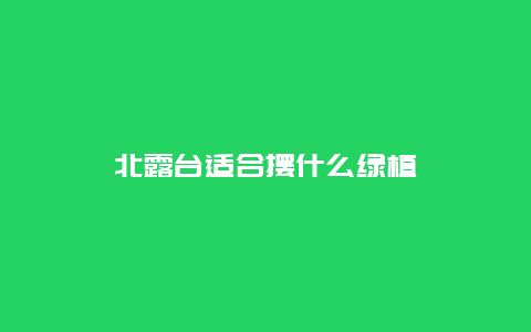 北露台适合摆什么绿植