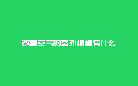 改善空气的室外绿植有什么