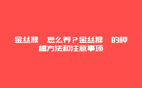 金丝猴蕨怎么养？金丝猴蕨的种植方法和注意事项