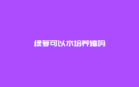 绿萝可以水培养殖吗