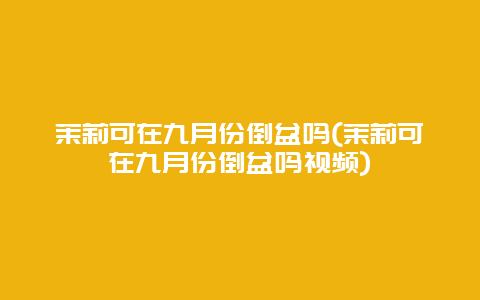 茉莉可在九月份倒盆吗(茉莉可在九月份倒盆吗视频)