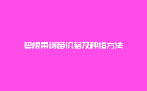 碧根果树苗价格及种植方法