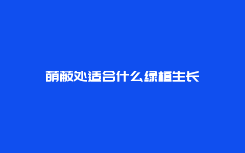 荫蔽处适合什么绿植生长