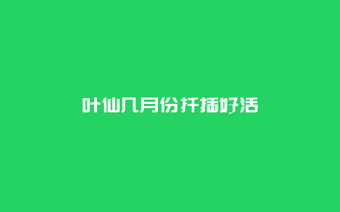 叶仙几月份扦插好活