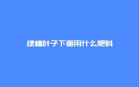 绿植叶子下垂用什么肥料