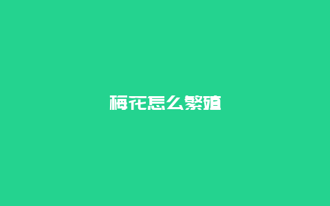 梅花怎么繁殖