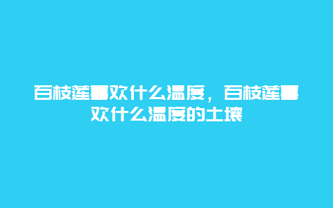 百枝莲喜欢什么温度，百枝莲喜欢什么温度的土壤