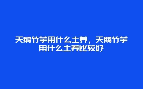 天鹅竹芋用什么土养，天鹅竹芋用什么土养比较好