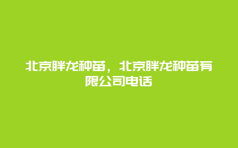 北京胖龙种苗，北京胖龙种苗有限公司电话